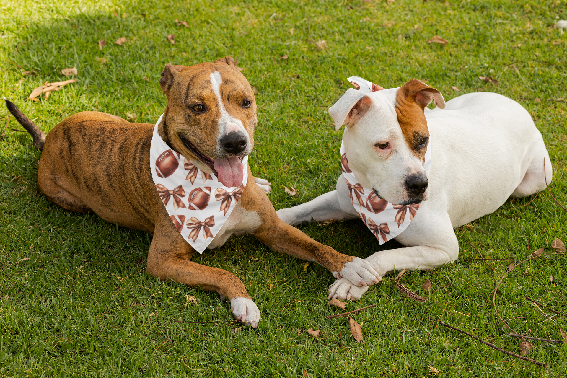 Football Dog Bandana - Festive Football and Bow Pattern by Chronically Creative & Co.
